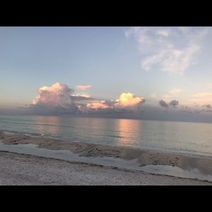 Meet your Posher, Dalia